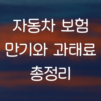 자동차 보험 만기와 과태료 총정리