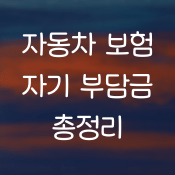 자동차 보험 자기 부담금에 관한 모든 총정리