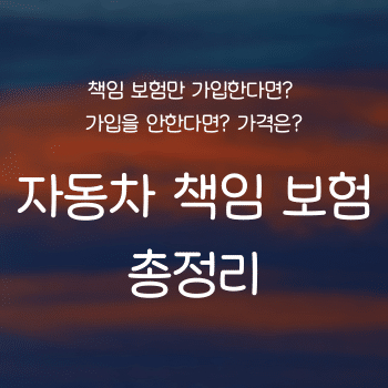 자동차 책임 보험이란 무엇인가 총정리