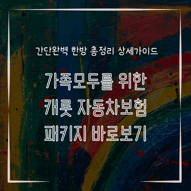 MID0209 가족모두를 위한 캐롯 자동차보험 패키지 바로보기