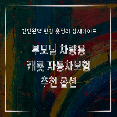 MID0226 부모님 차량용 캐롯 자동차보험 추천 옵션