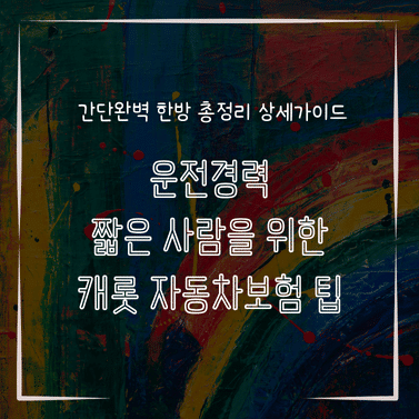 MID0245 운전경력 짧은 사람을 위한 캐롯 자동차보험 팁